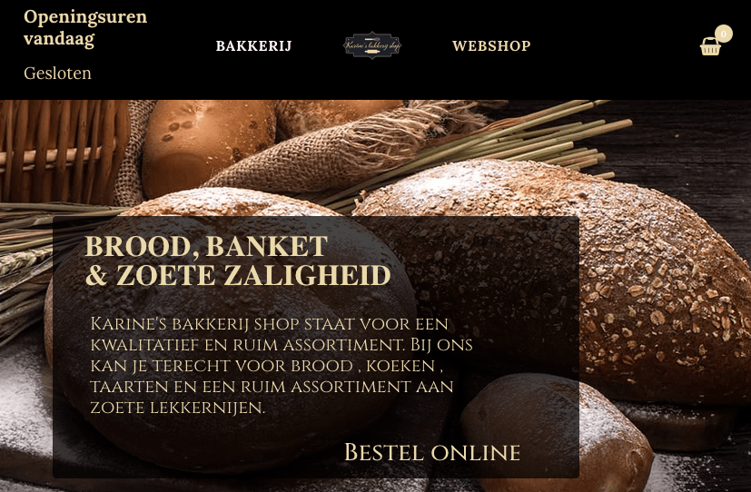 Website laten maken regio Brugge
