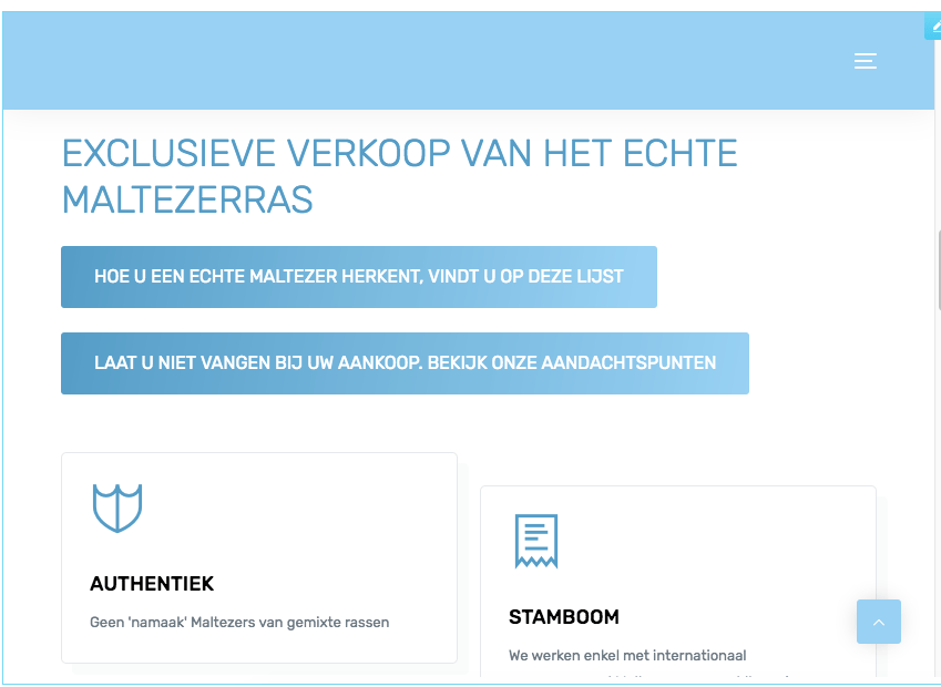 Website laten maken regio Brugge